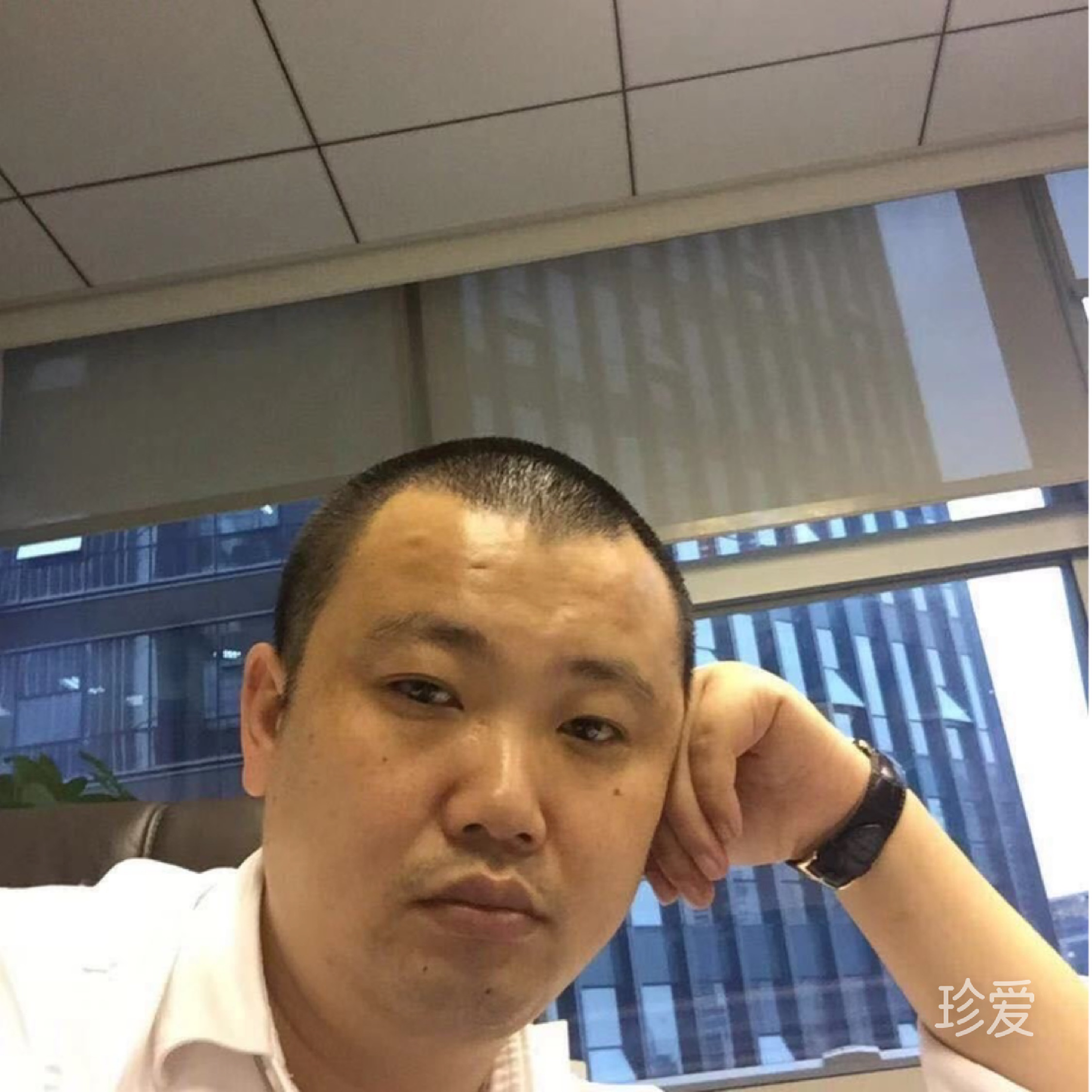 不要敷衍我