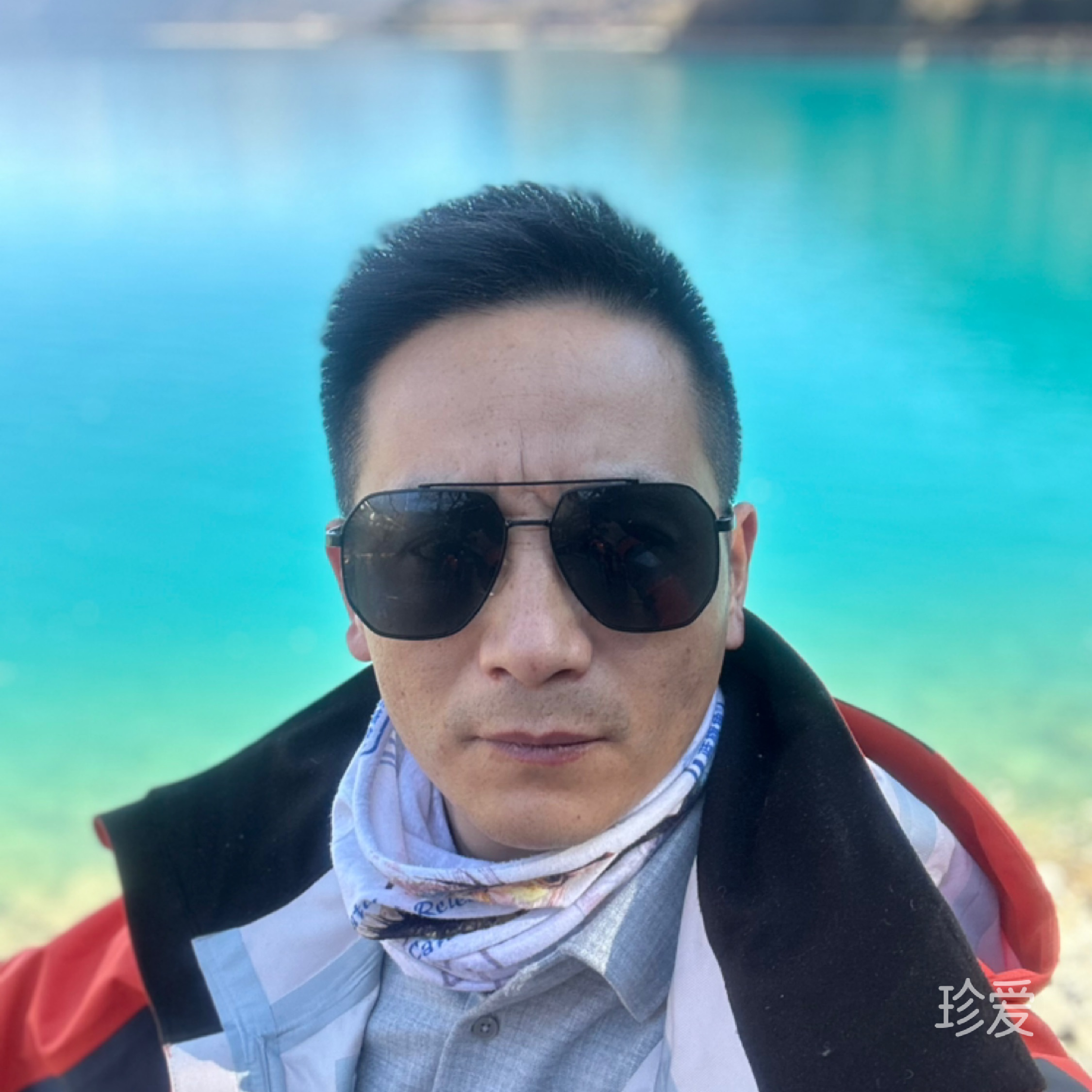 坐在樹梢等日出