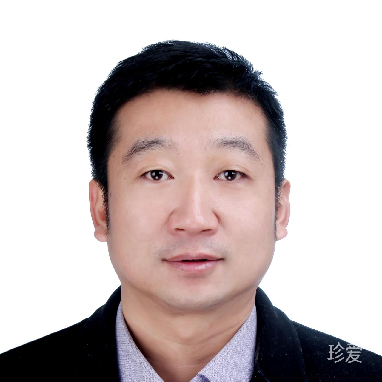 自由的风