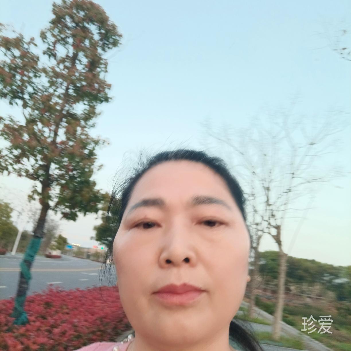 福运高照
