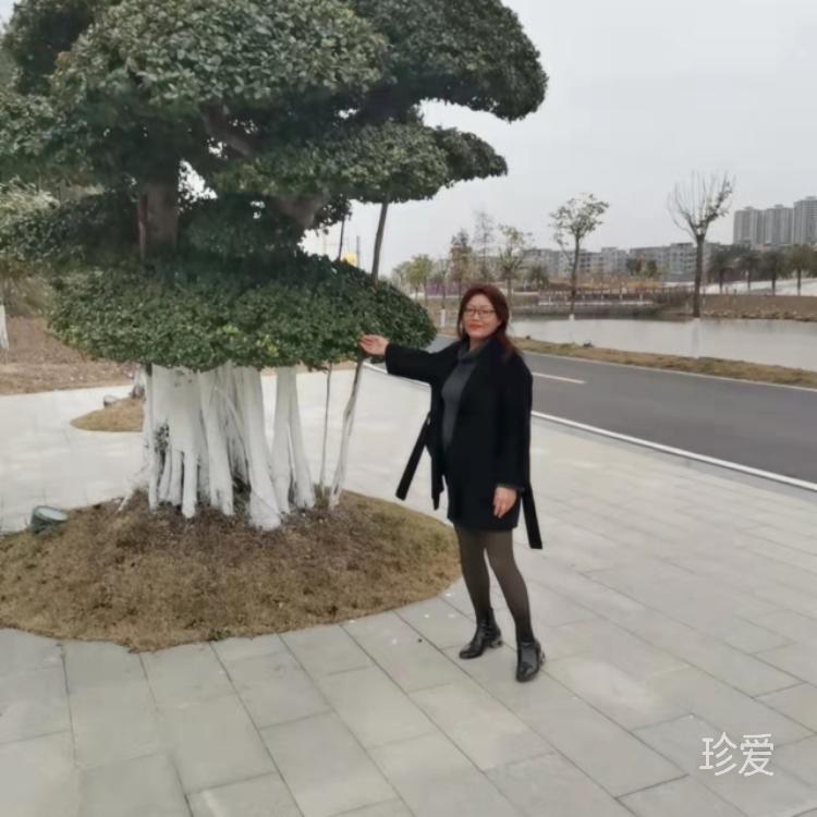 需找真心對我好的人