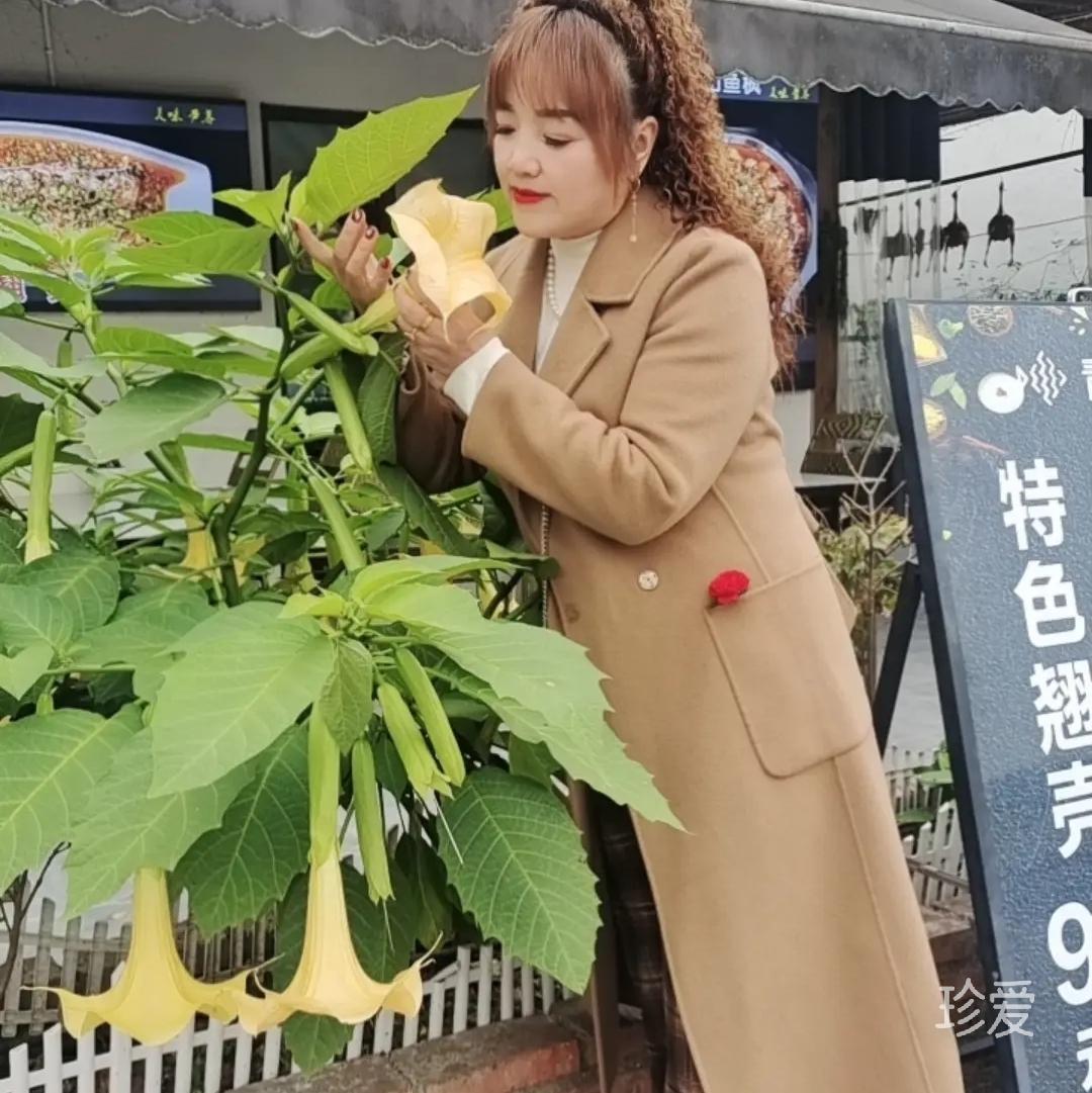 人走茶凉