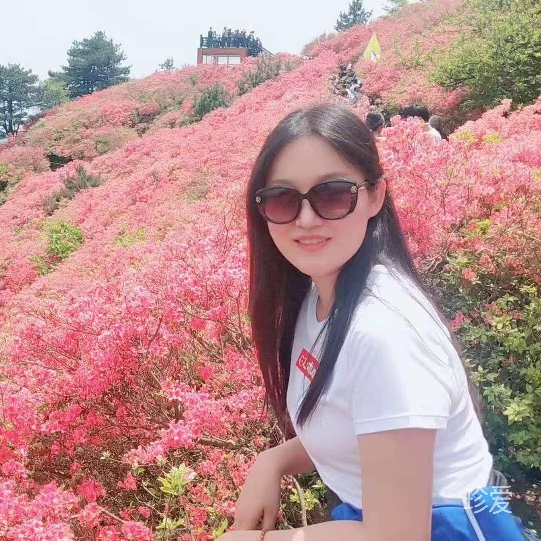 我是一个圆