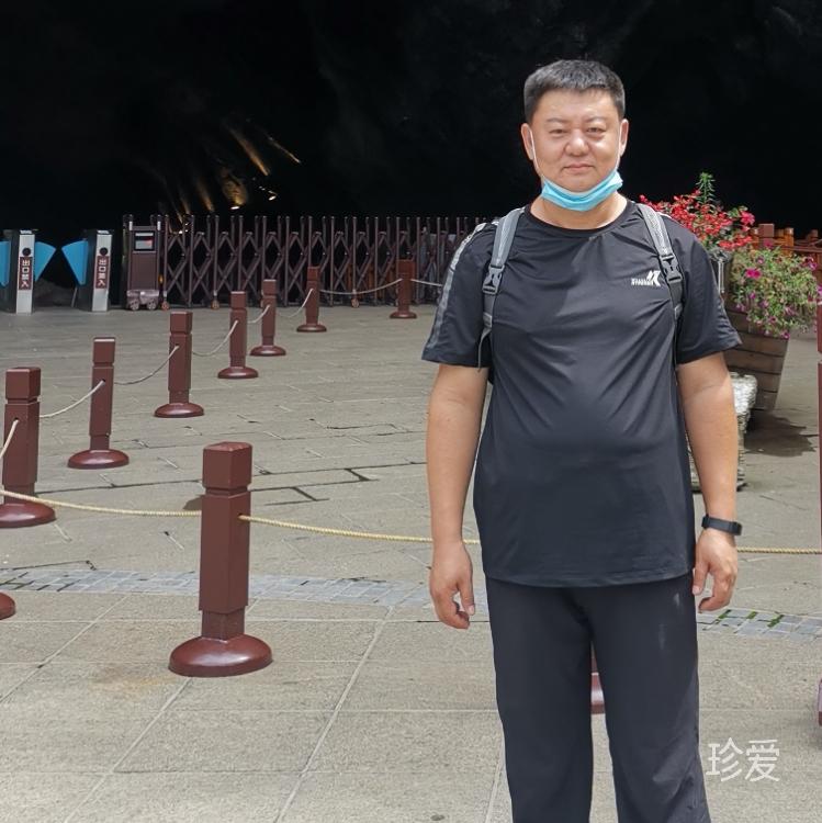 竹林听雨
