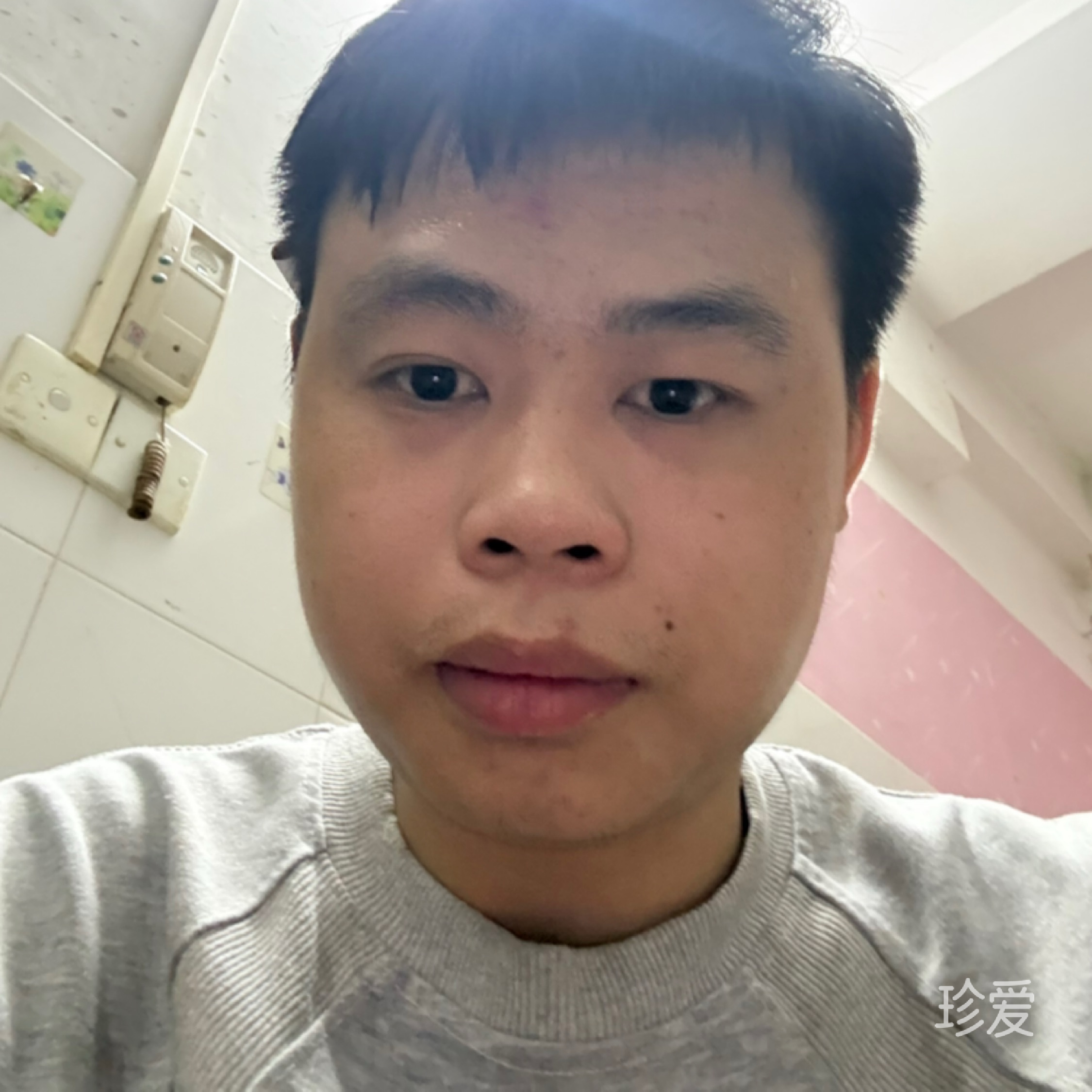享成