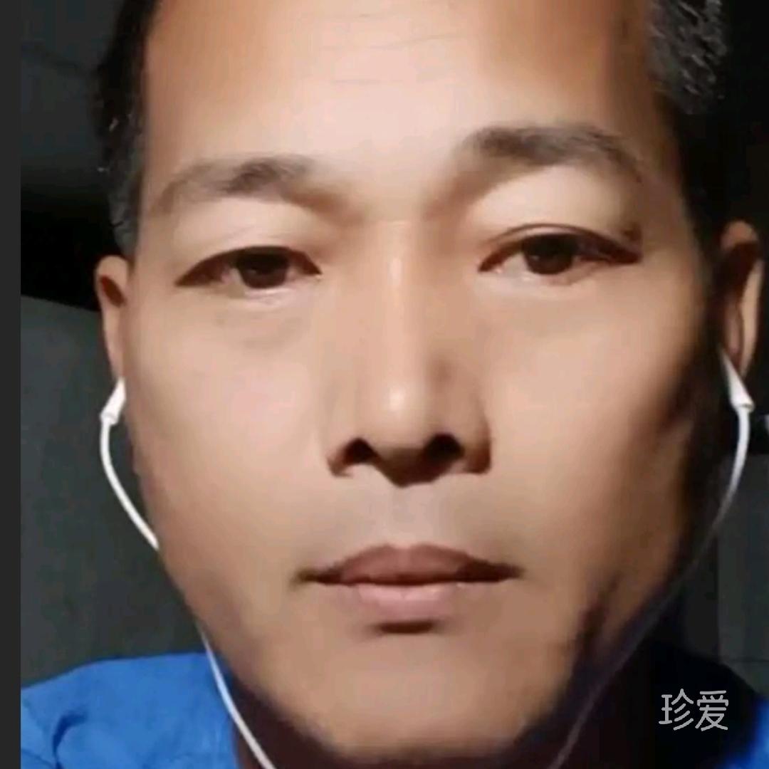 浴火重生