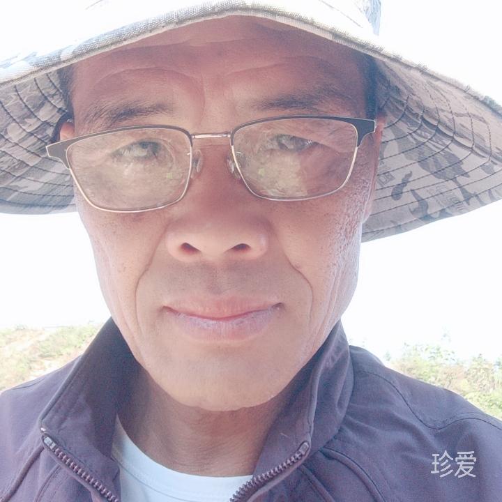 沉默的鱼