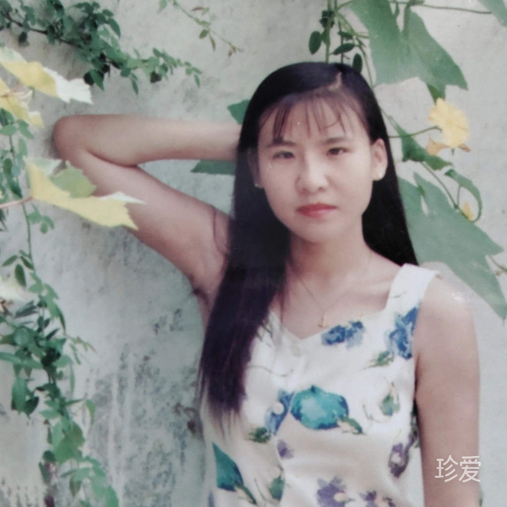 清莲依旧