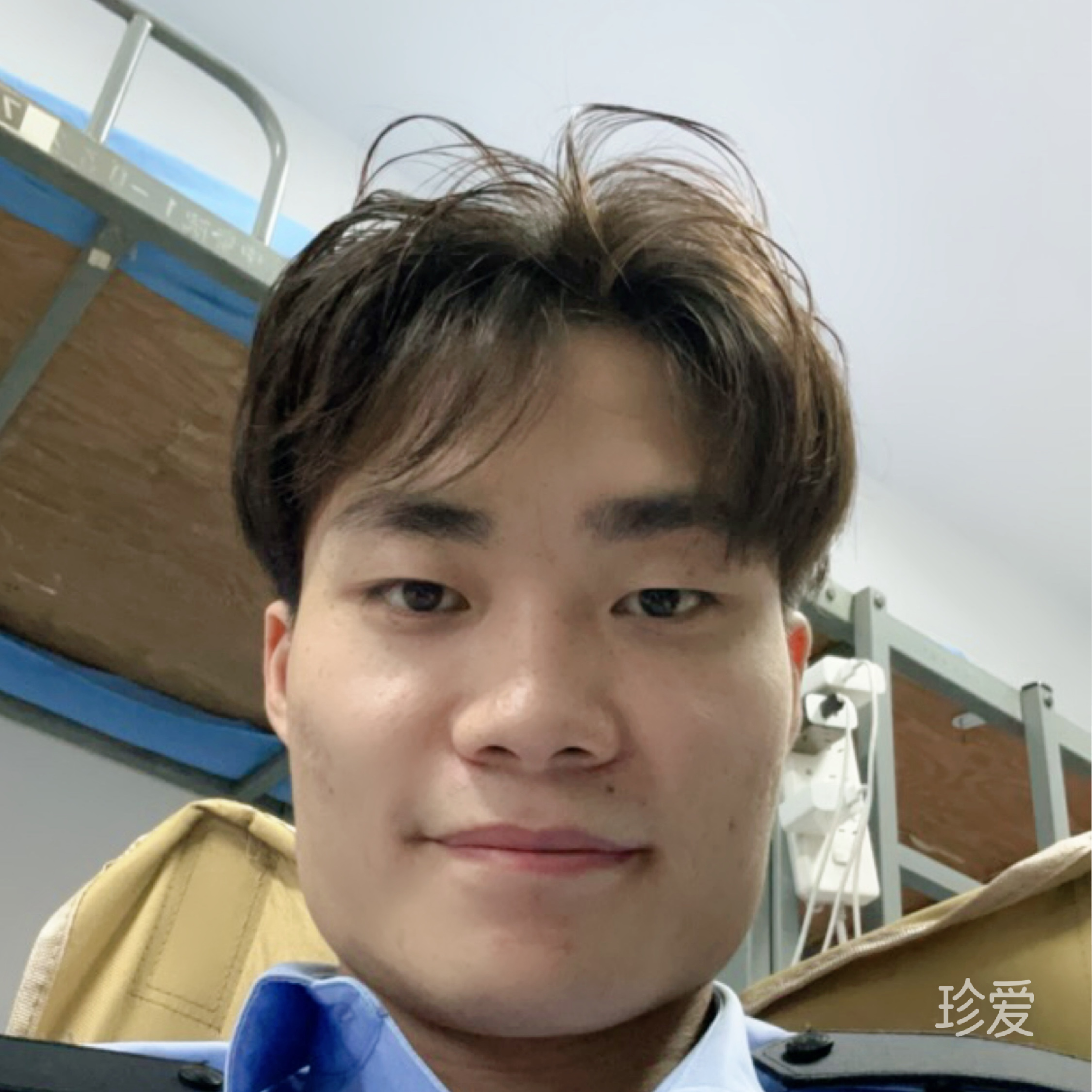 寻找阳光