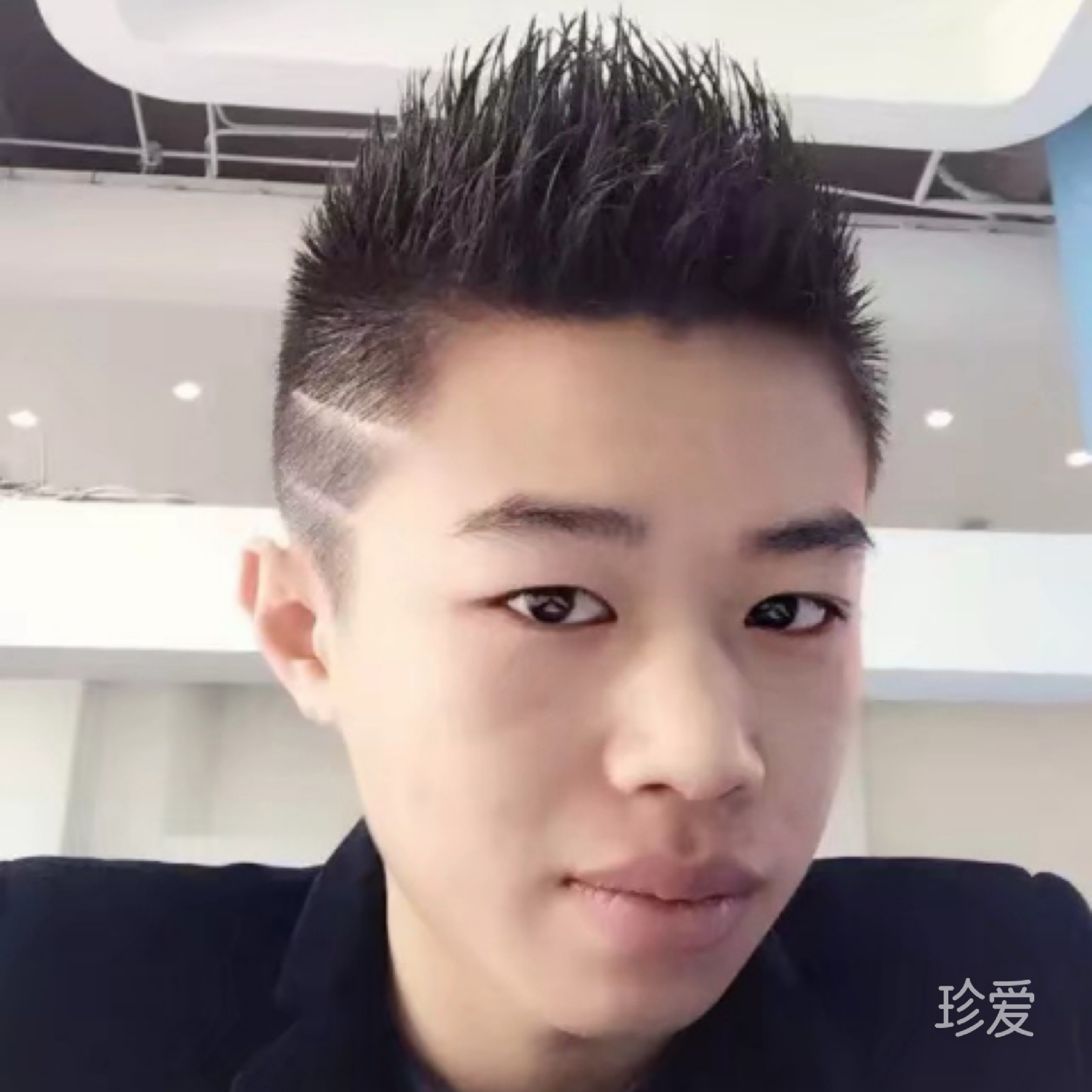 会游泳的猫