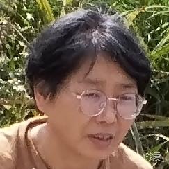 木莲