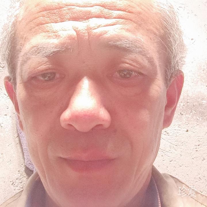 迷失方向的狼