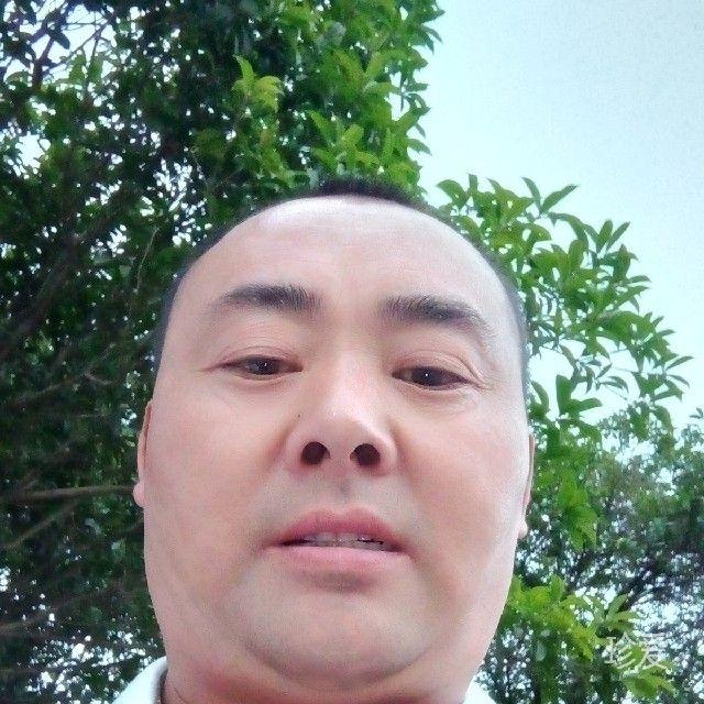 唯一的爱