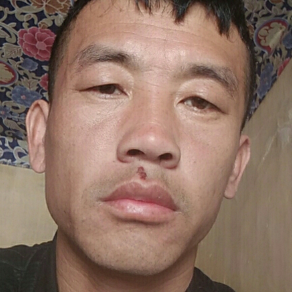 只想好好过日子