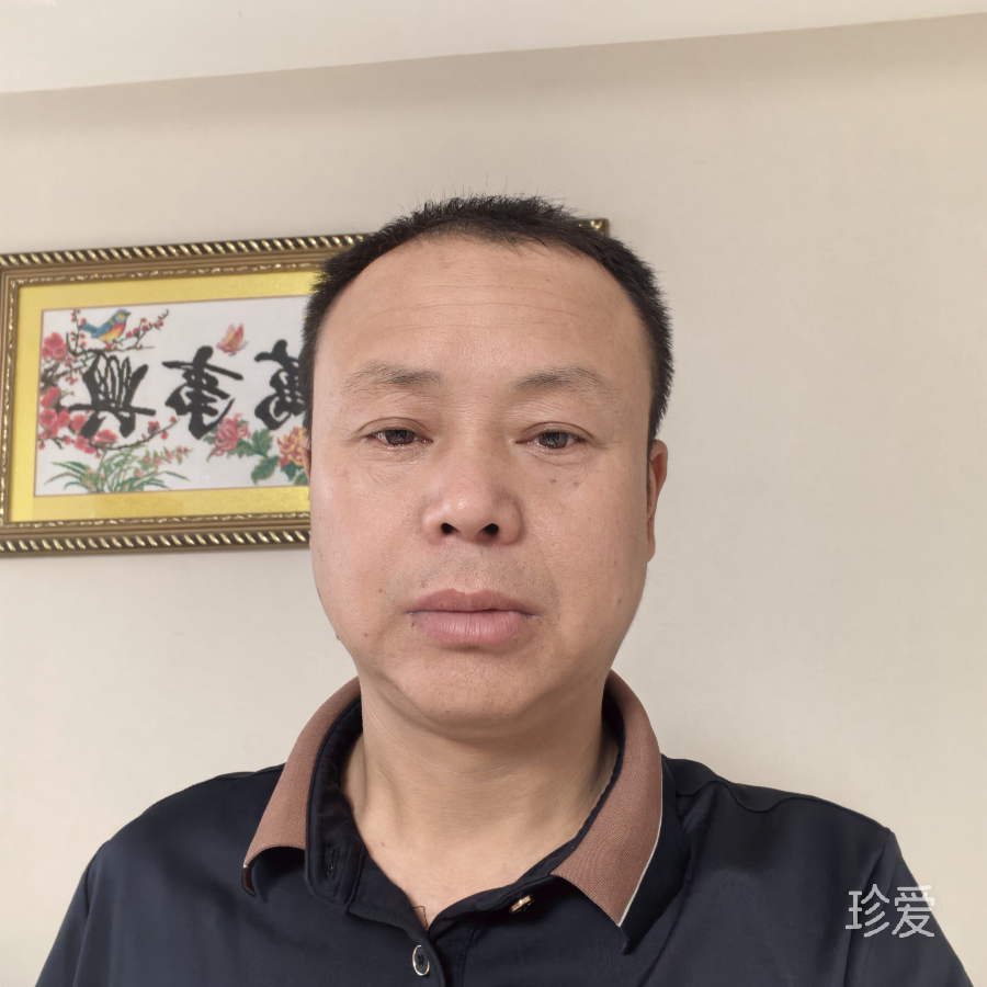 一千年de孤独