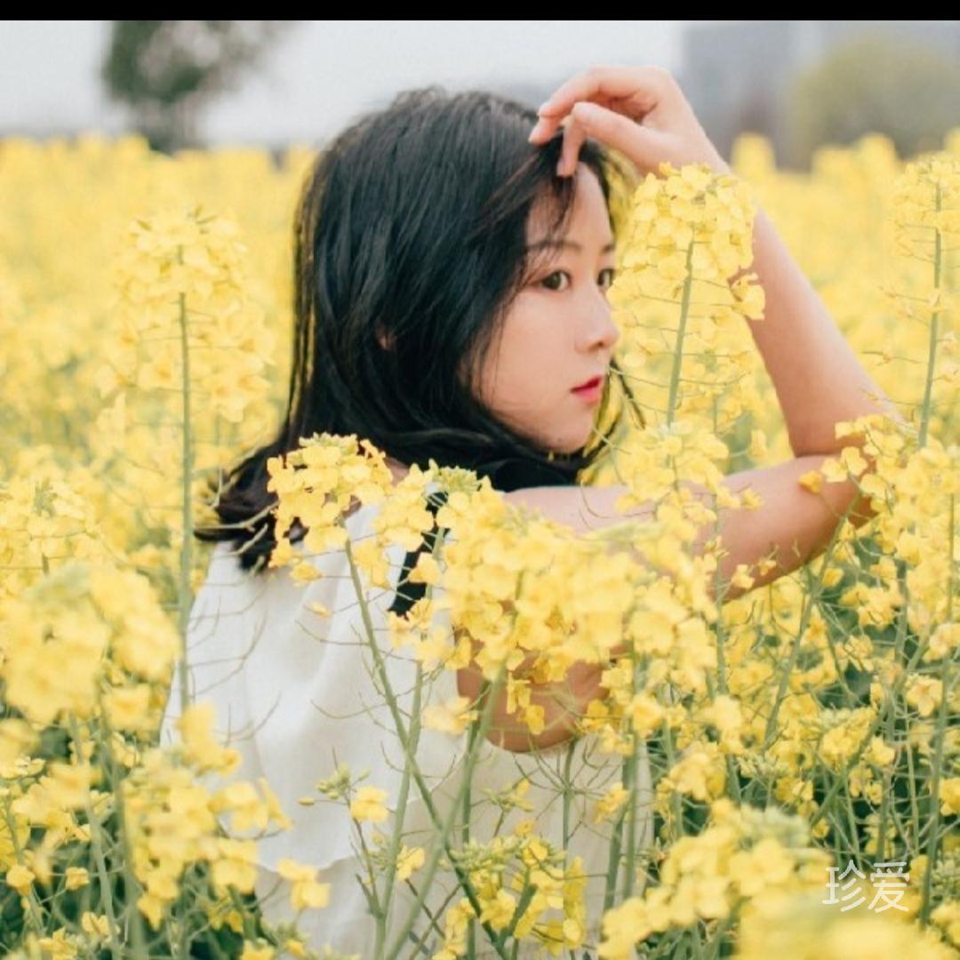 凤凰涅槃