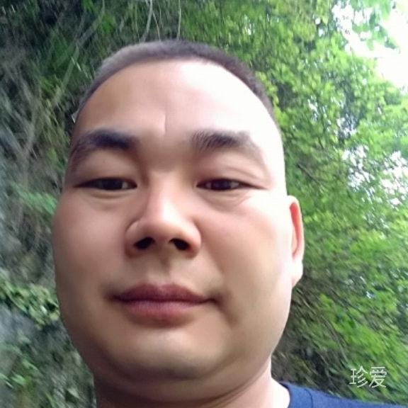 疑似梦初