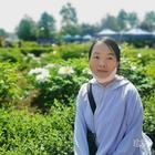葫蘆