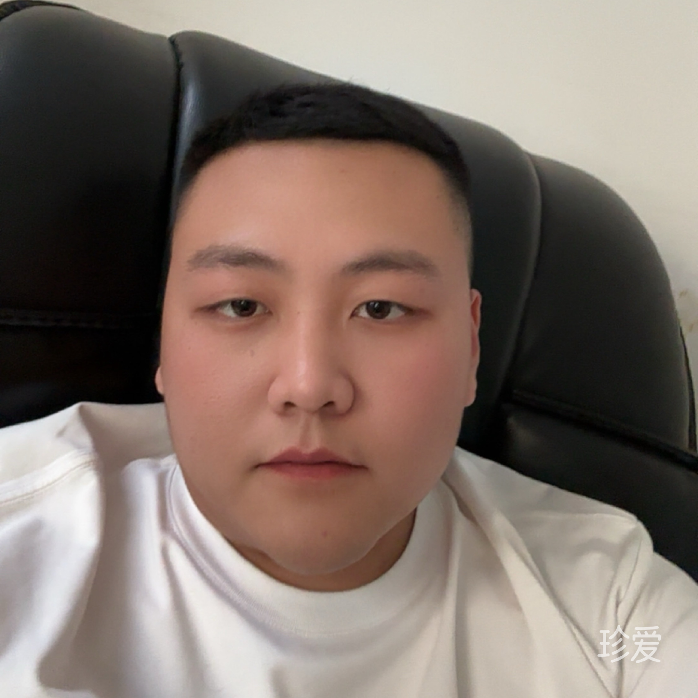 逝去的叶
