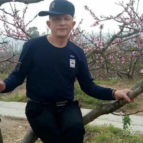 坐在小楼听风雨