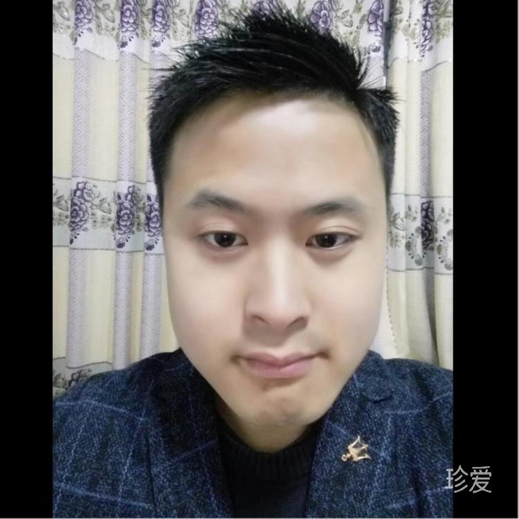 冬天的青松
