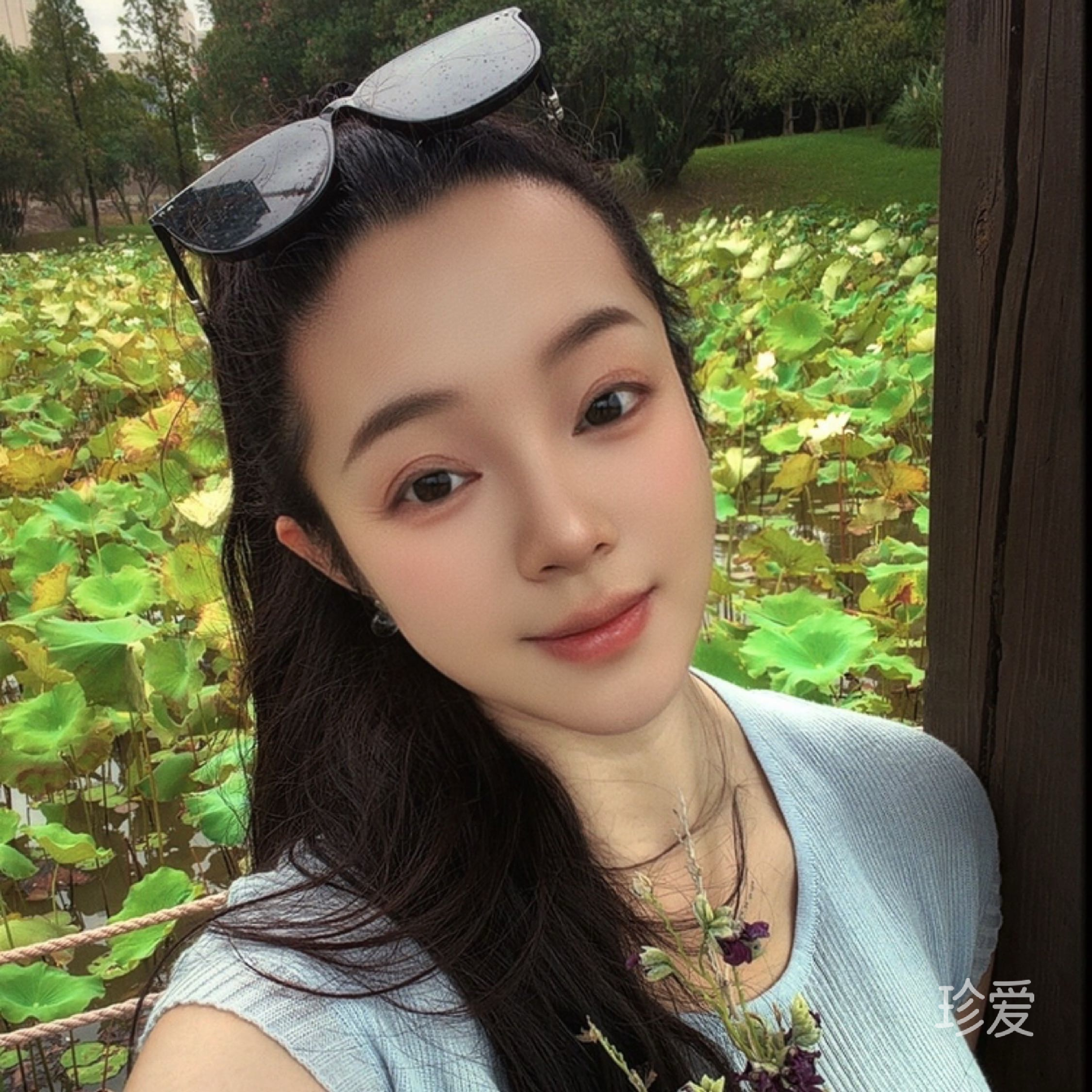 雨的声音