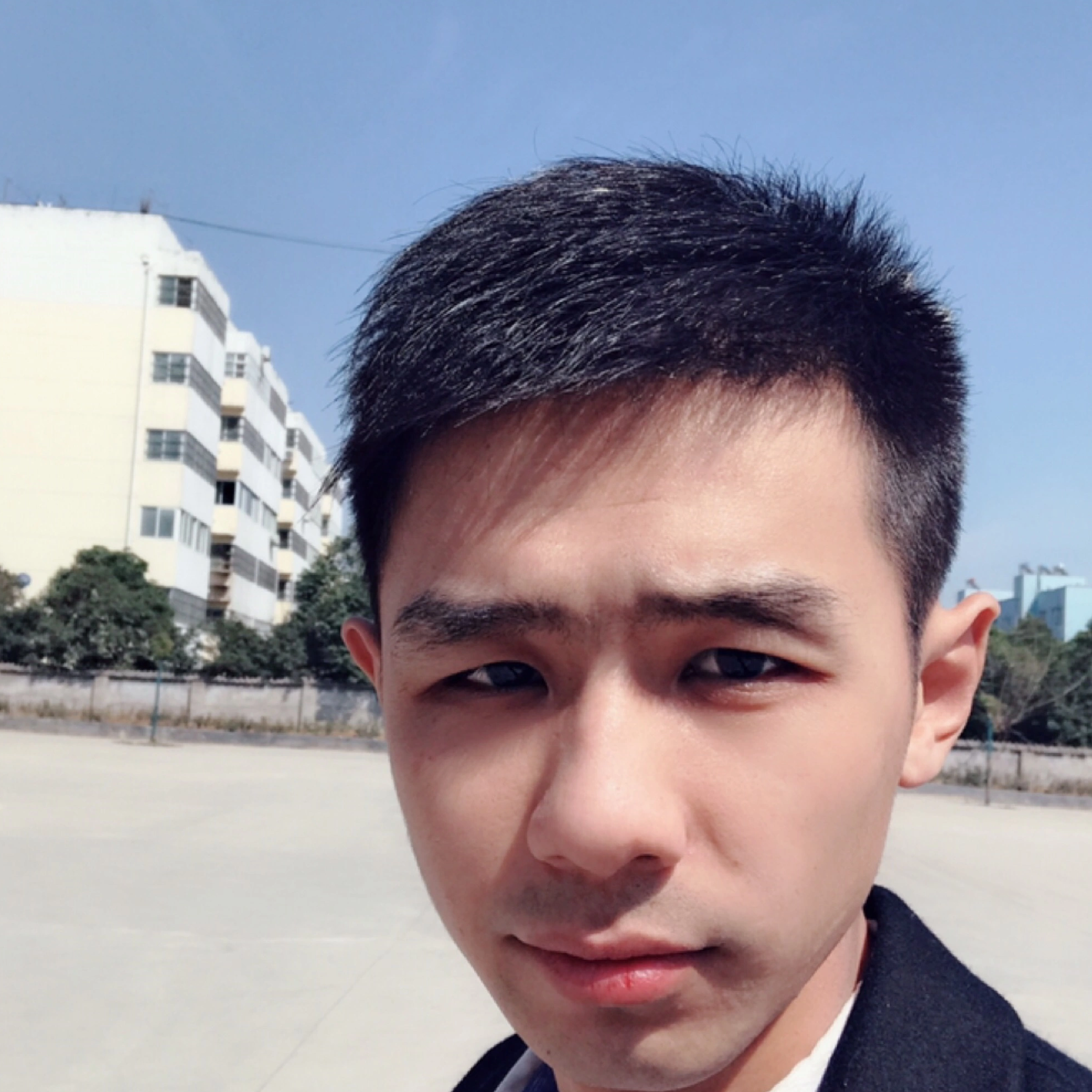 你若盛開清風自來