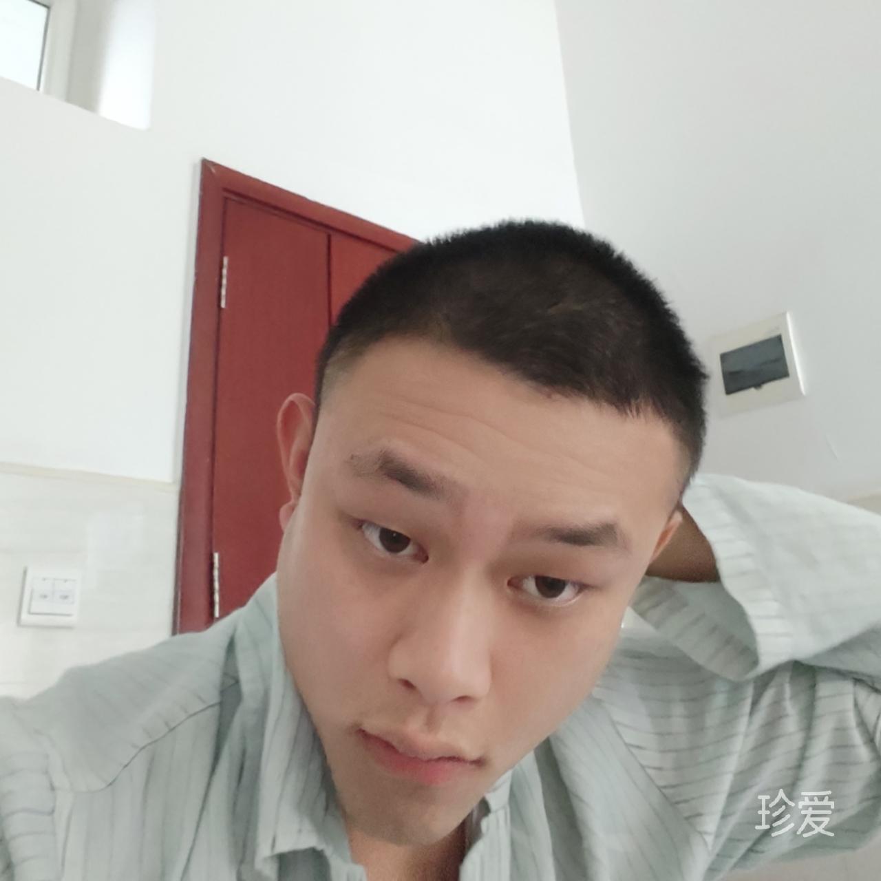 橄榄树