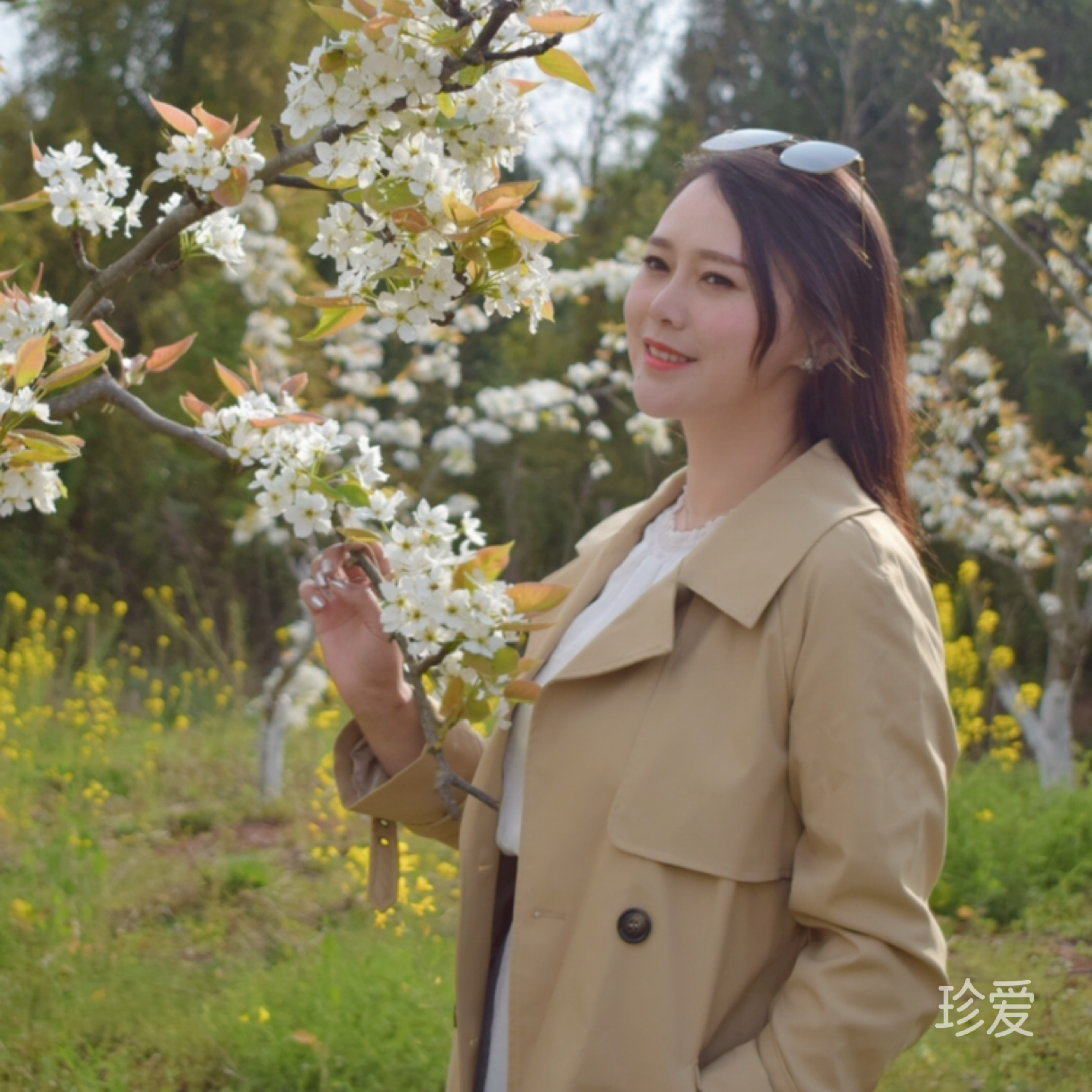 岁月静好