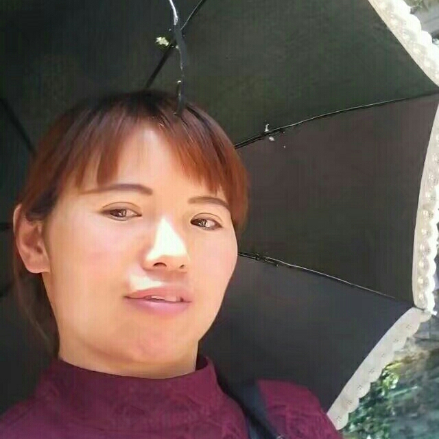 阳光下的向日葵