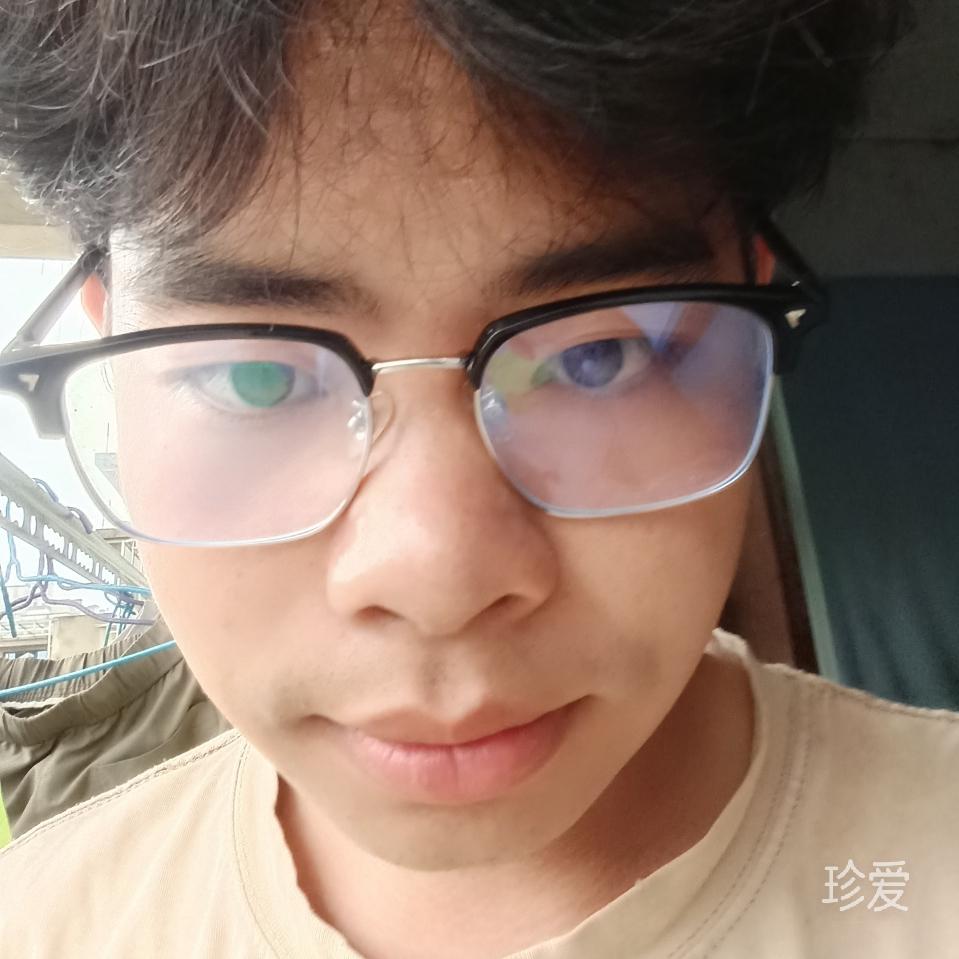 南南q