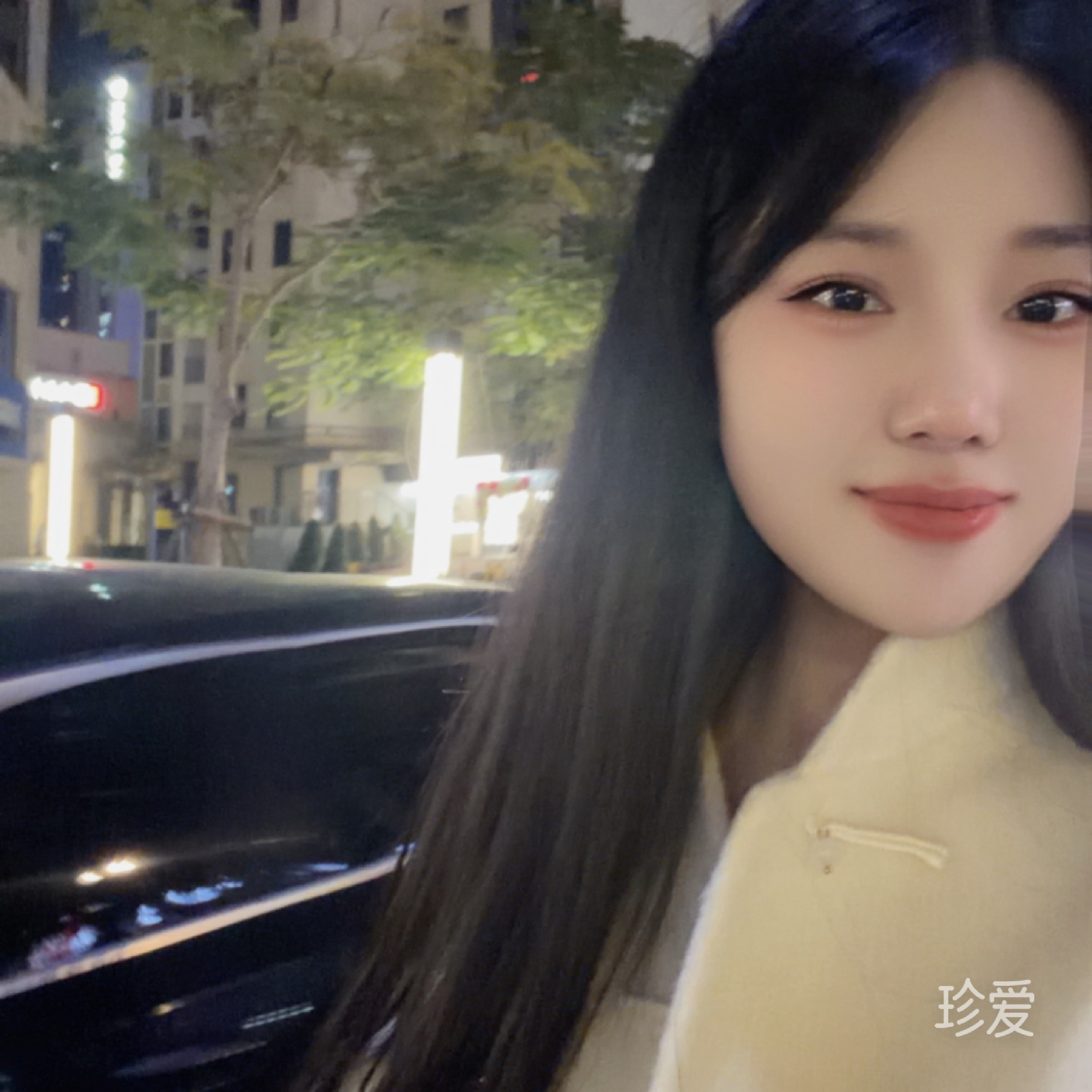 会飞的鱼