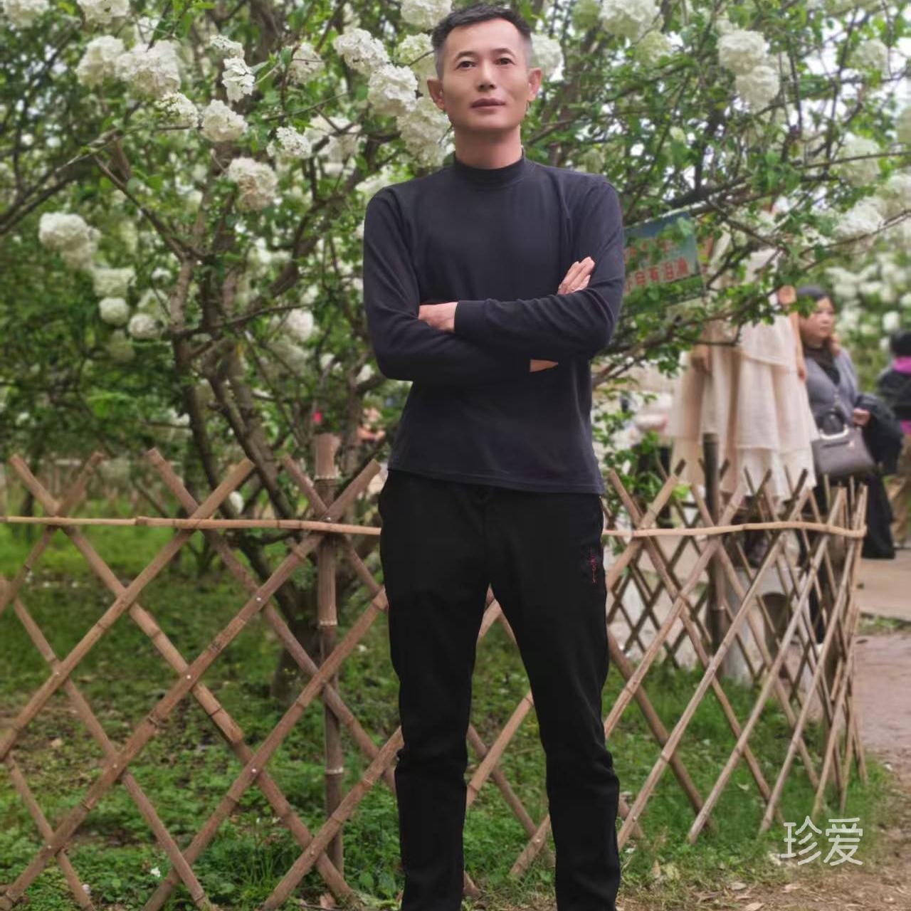 笑谈鸿儒