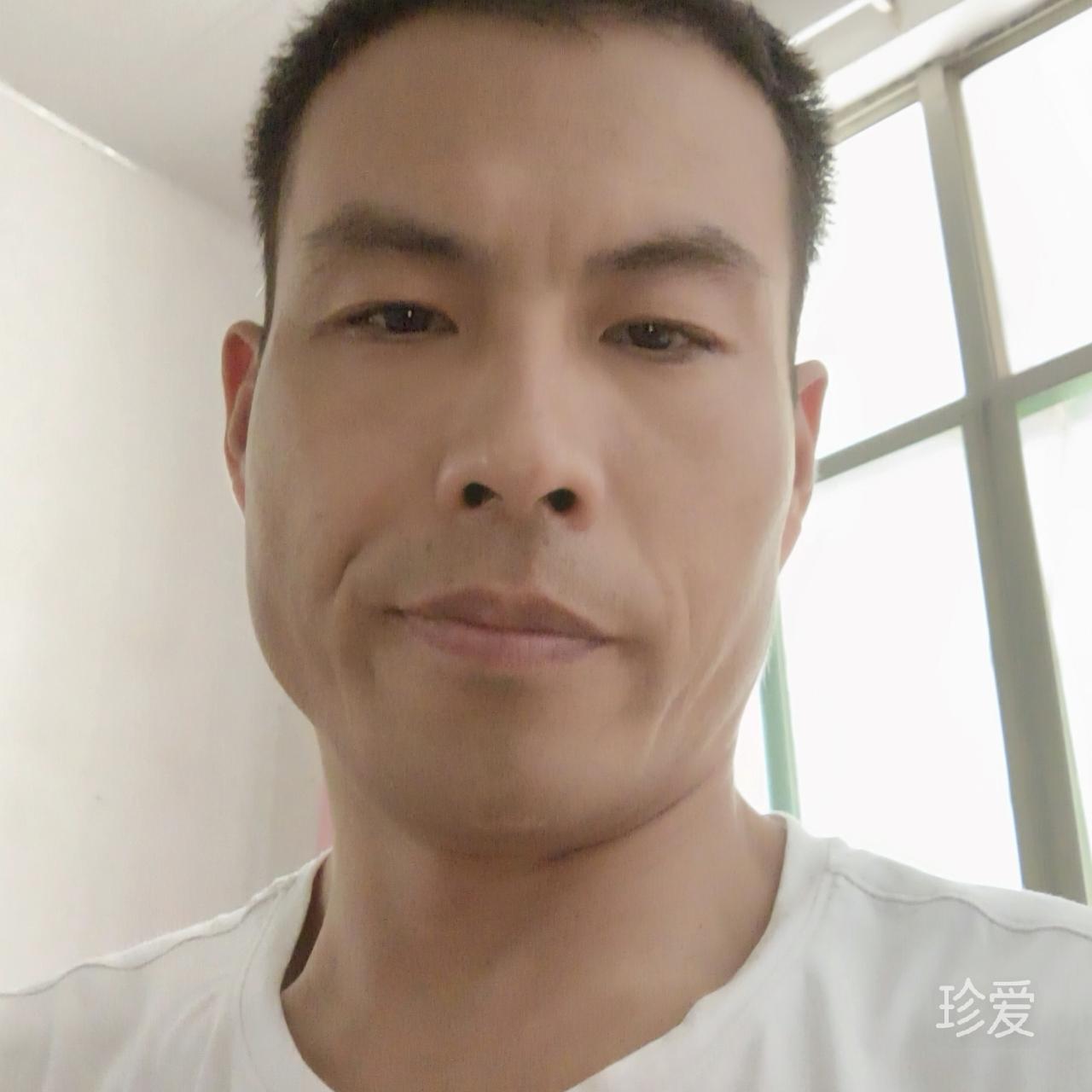 浪子的心