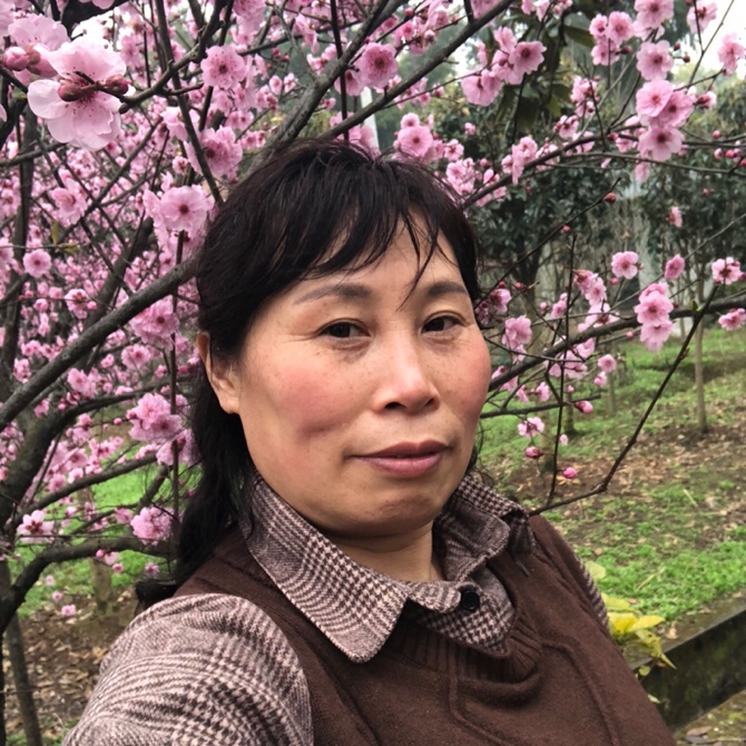 悲伤亦如此倾城