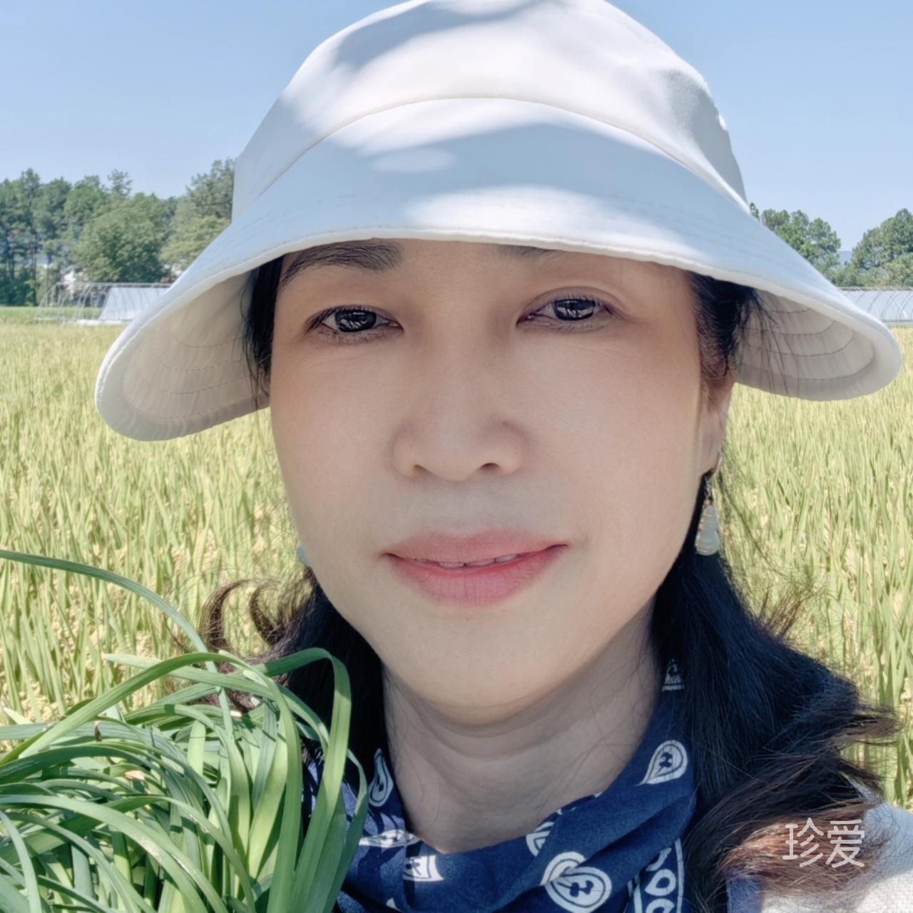 小妖的金色城堡