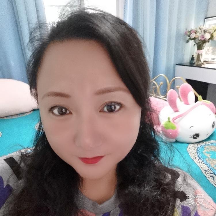 龙飞雁