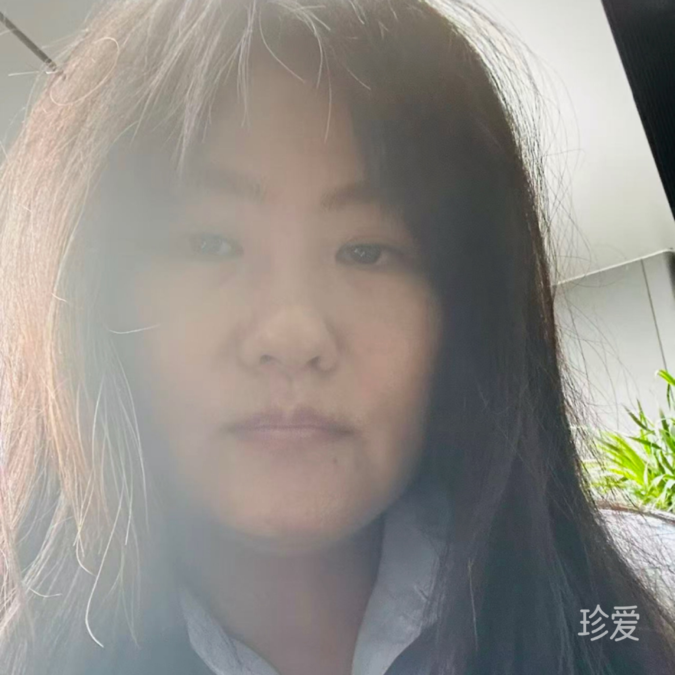 花未落