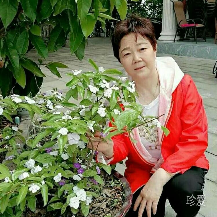 會(huì)員1342291512