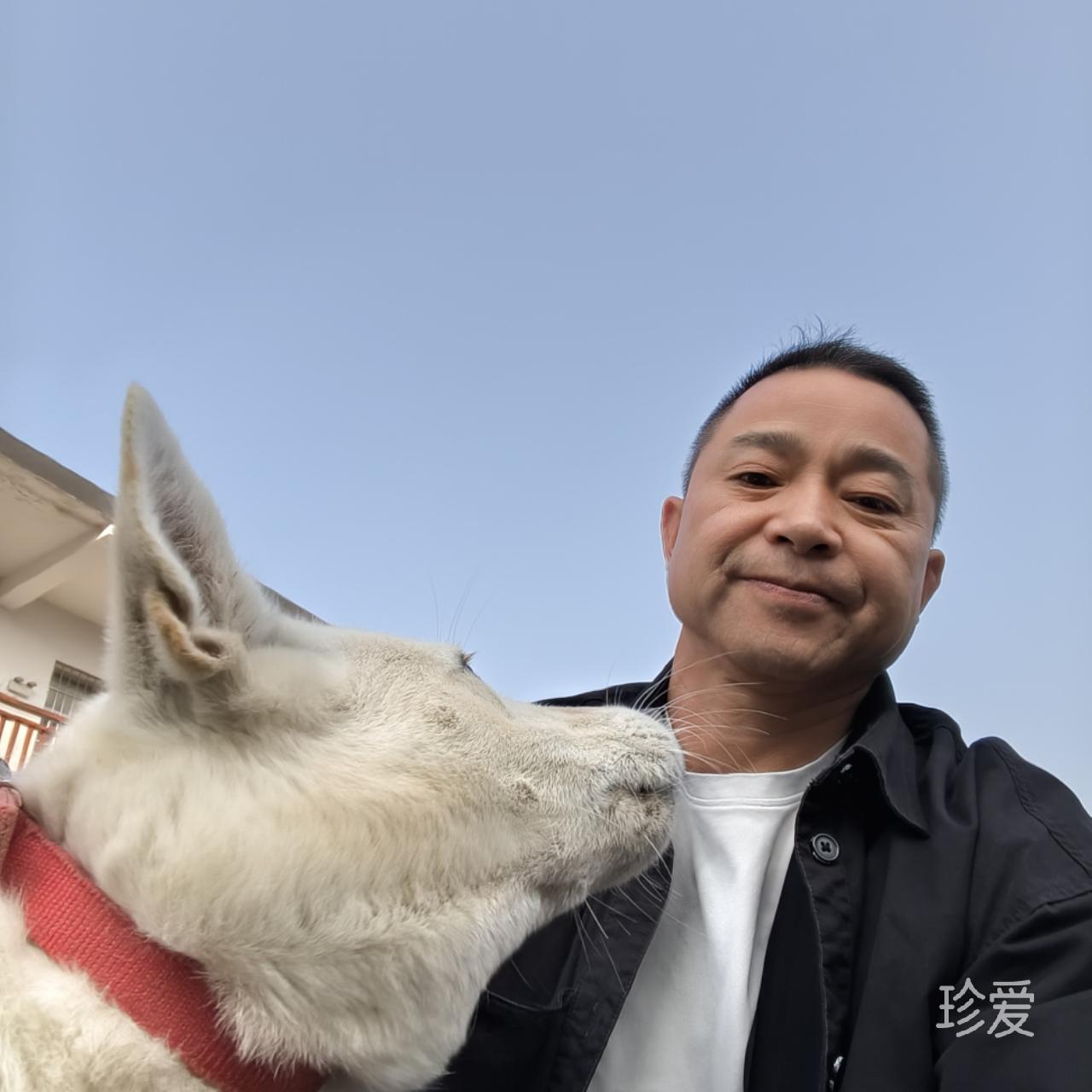 不打折扣