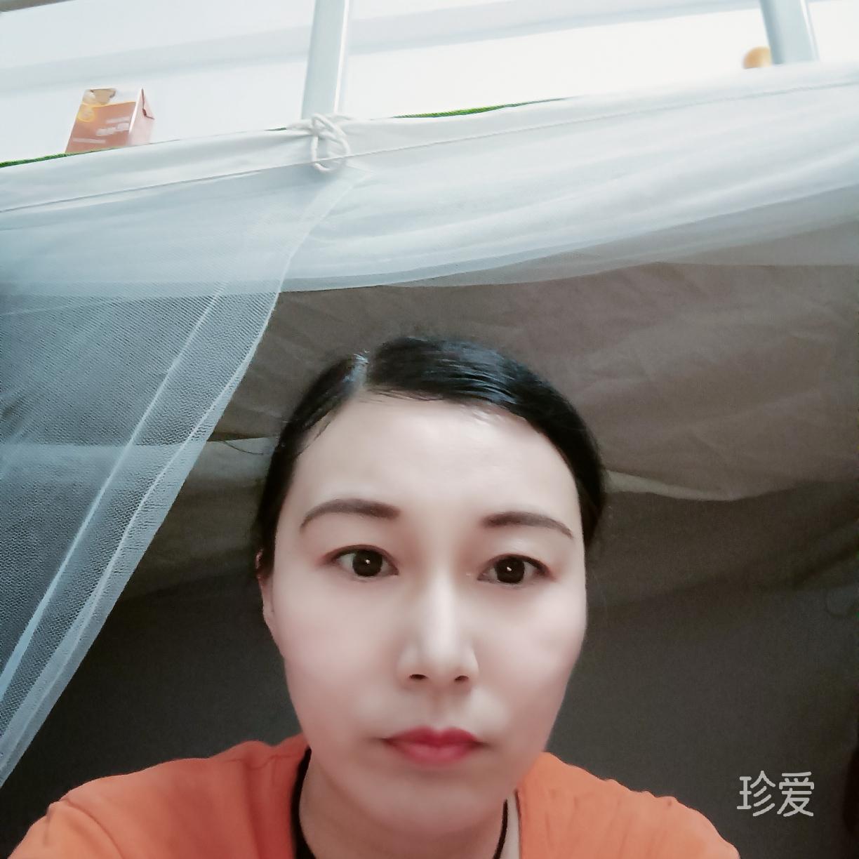 蝶飞舞