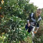 南風(fēng)知我意