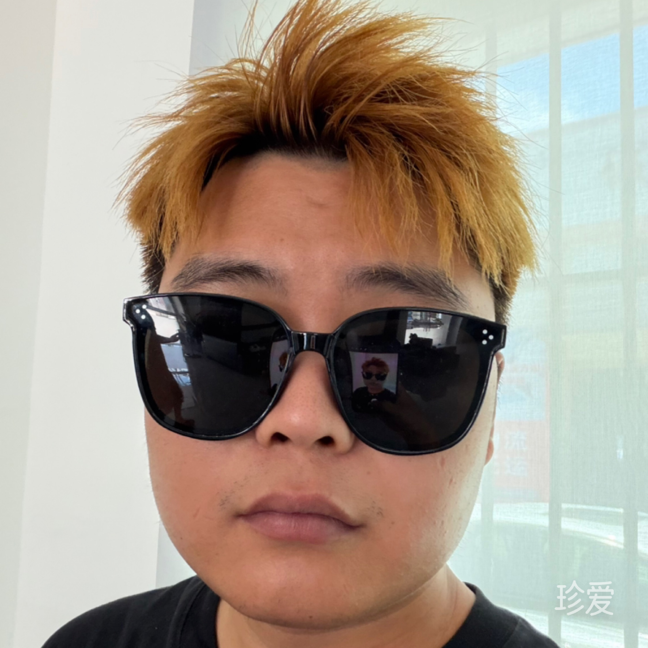 mr陈