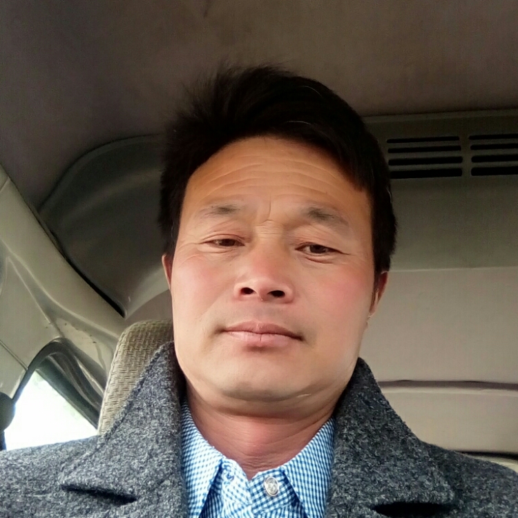 想要一个家