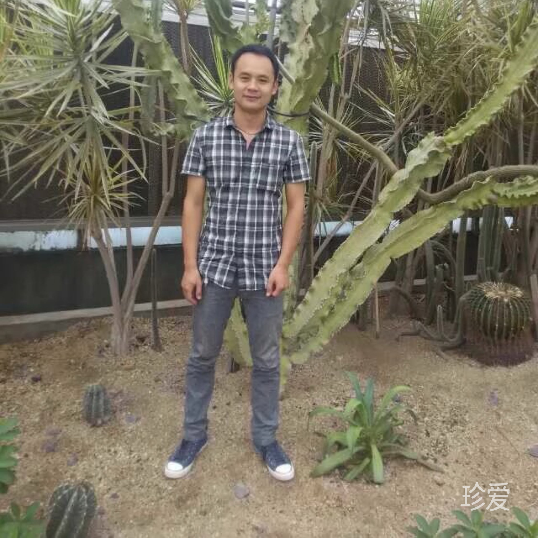 爱在雨季