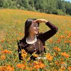 風(fēng)雨過后有彩虹