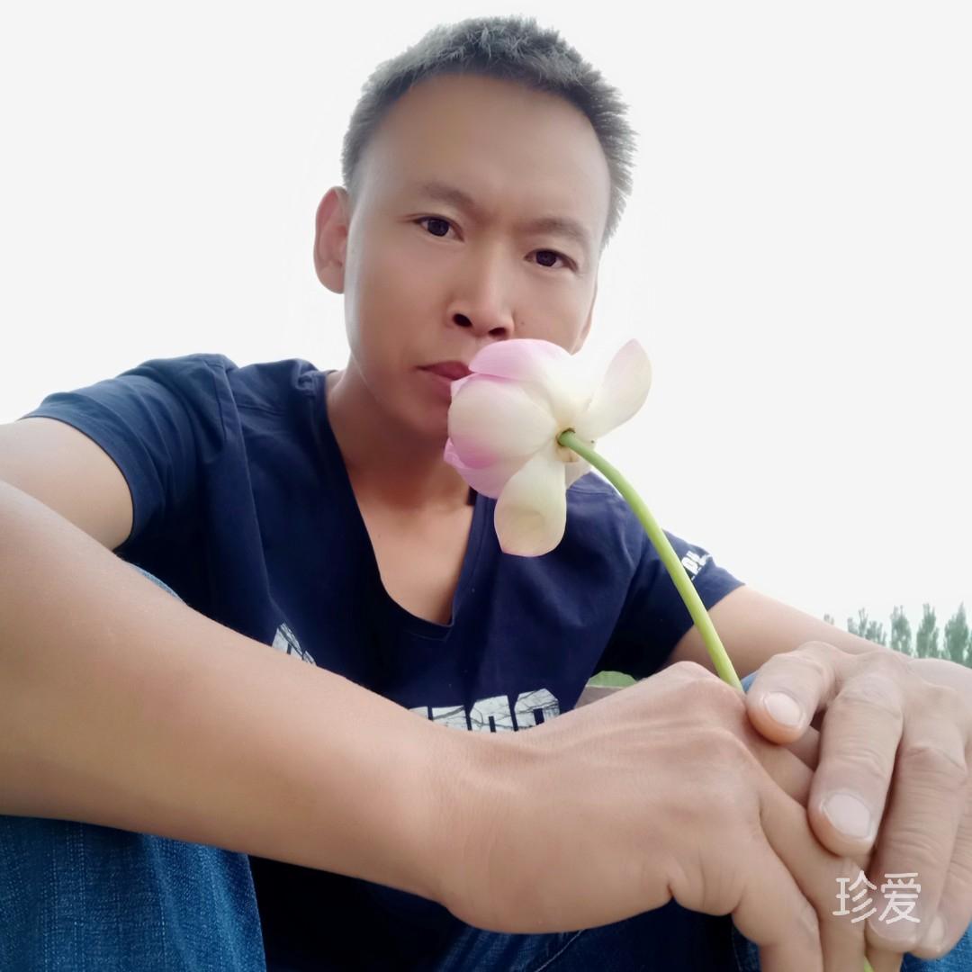 离开释怀哥只是个