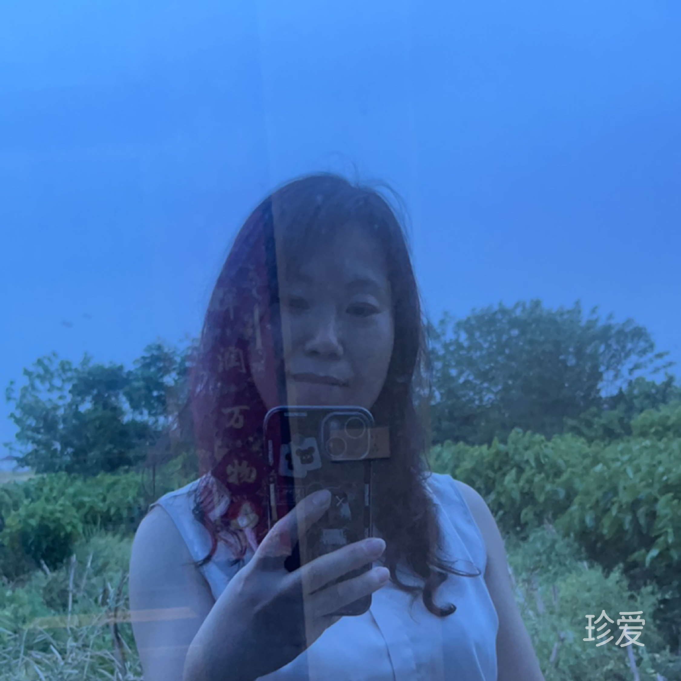 霉霉