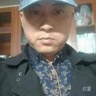 迷路小狼