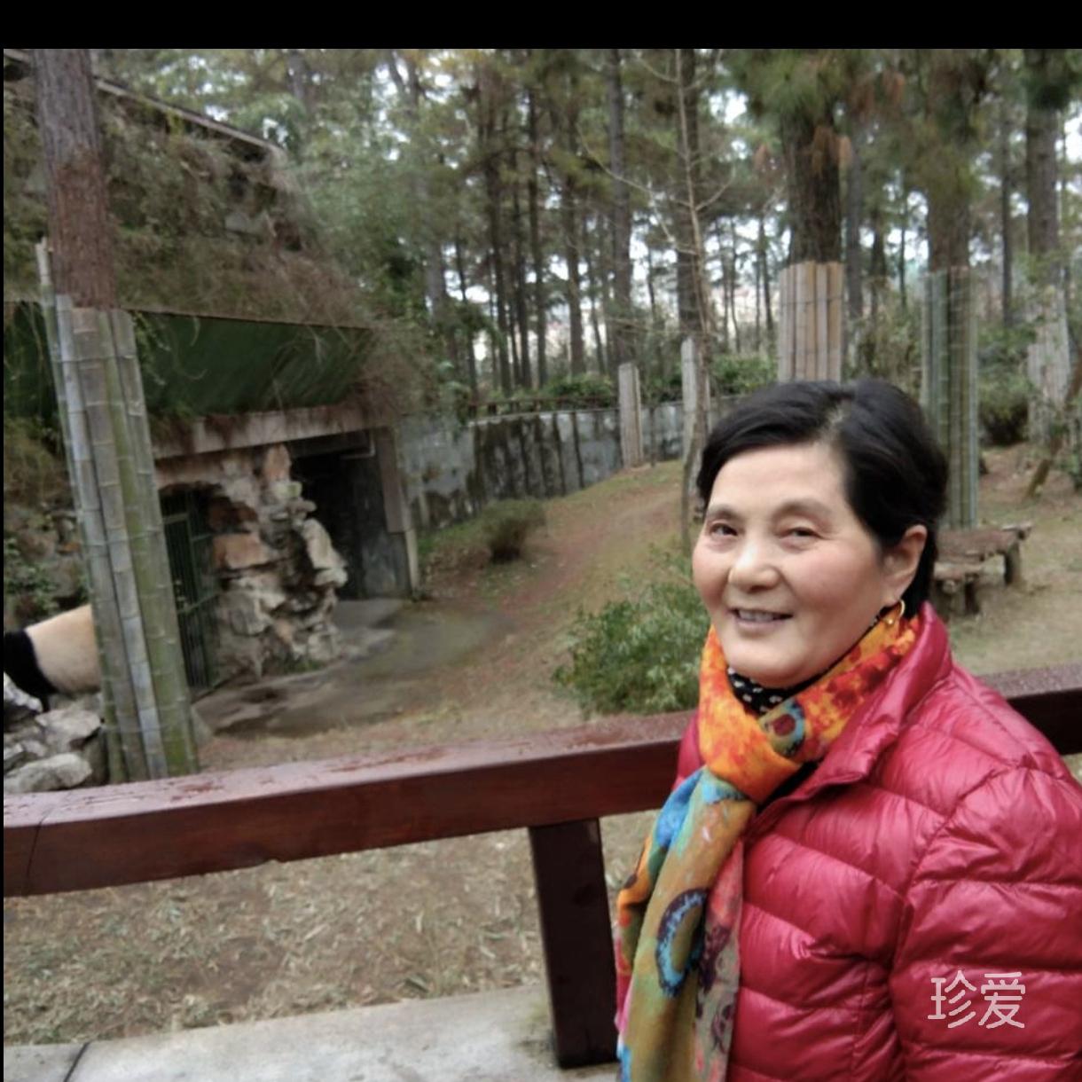山楂果